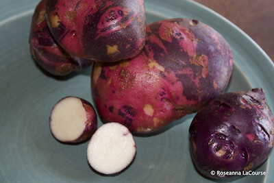 Purple Viking Seed Potatoes