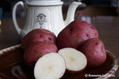 Maine Potato Lady Pontiac Seed Potatoes