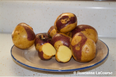 Mid-Season Potatoes