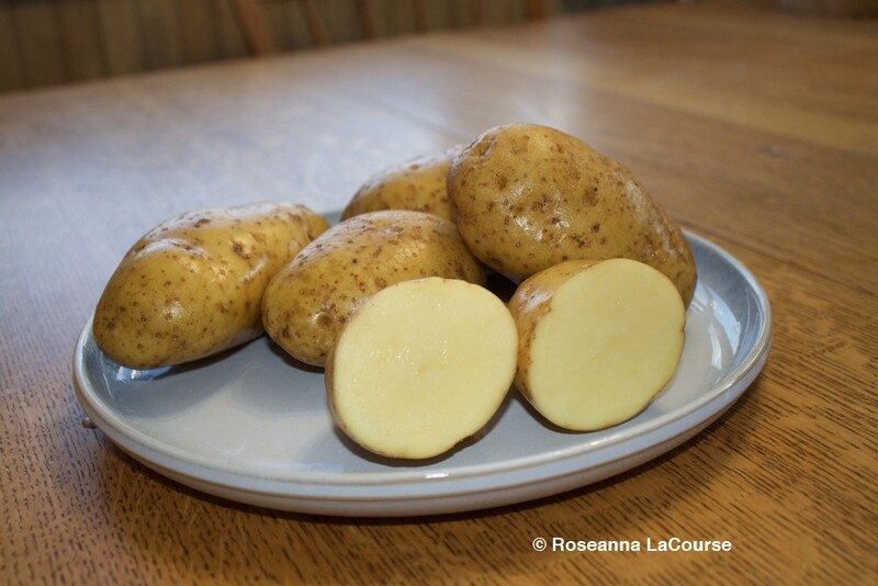 Bintje Seed Potatoes