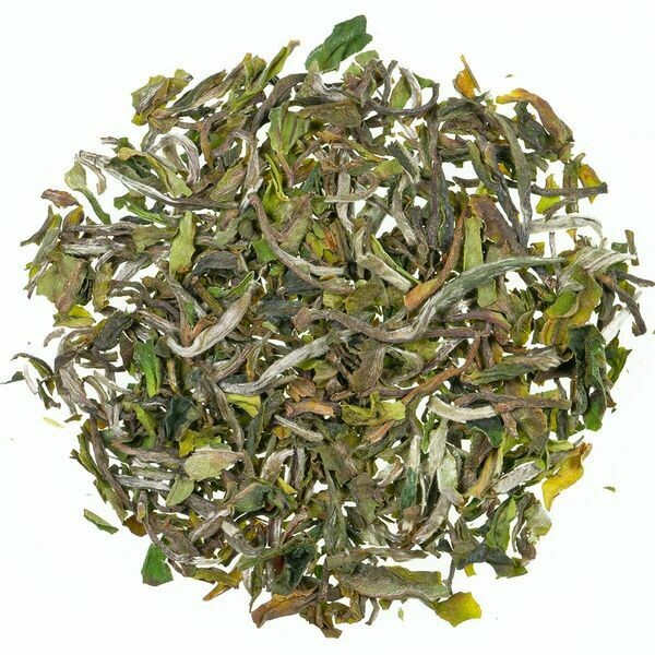 Darjeeling SFTGFOP Marybong DJ01 2025 FLUGTEE