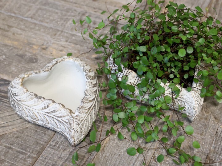 Blumentopf - Herz 
H8/L20/B17 cm creme