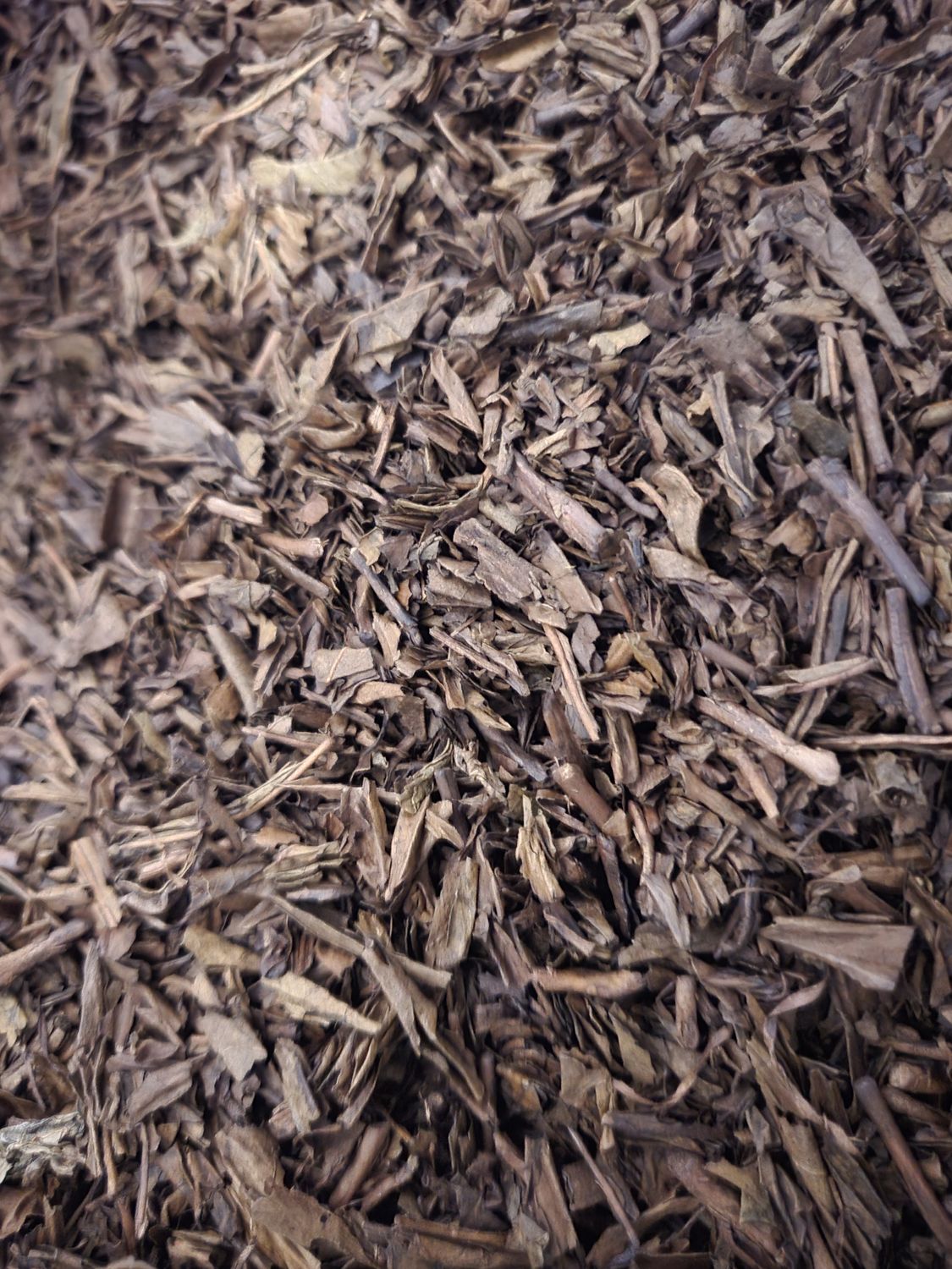 Japan Höjicha Bio