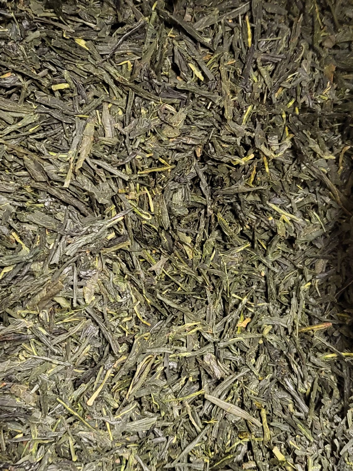 Japan Sencha "Freier Himmel" BIO