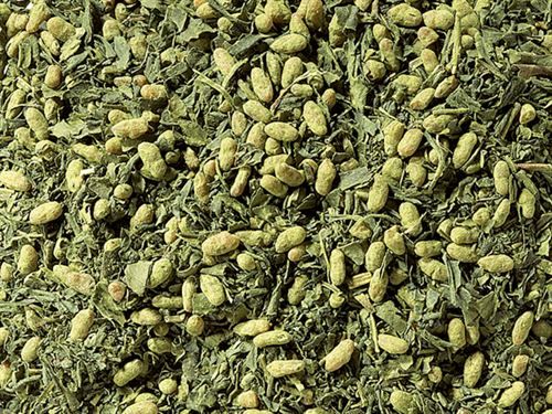 Japan Genmaicha Matcha Bio