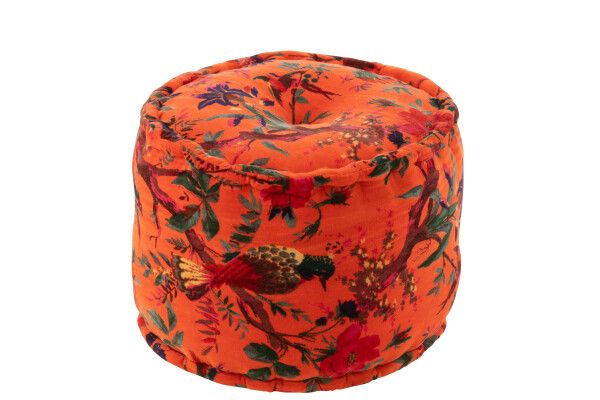 Hocker Vögel