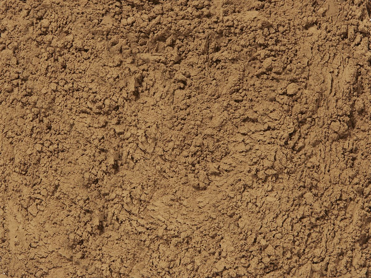 Japan Hojicha Powder - Bio