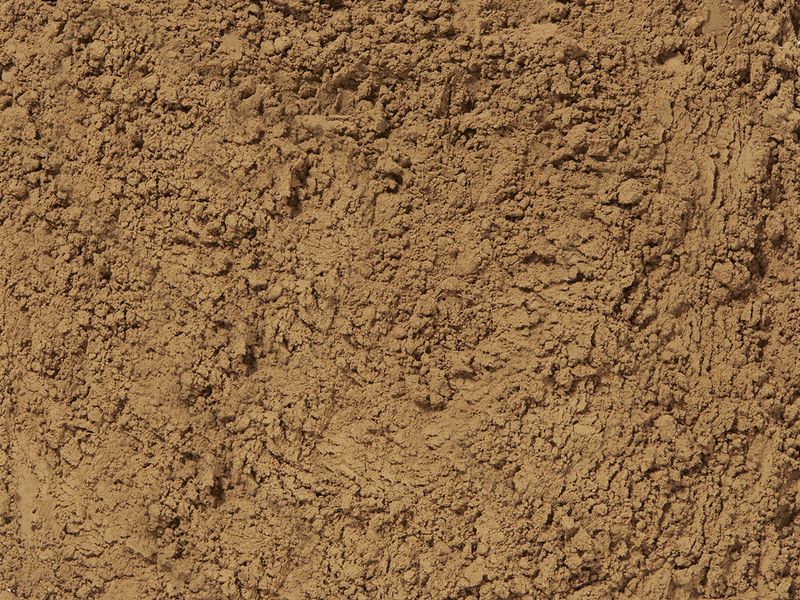 Japan Hojicha Powder - Bio