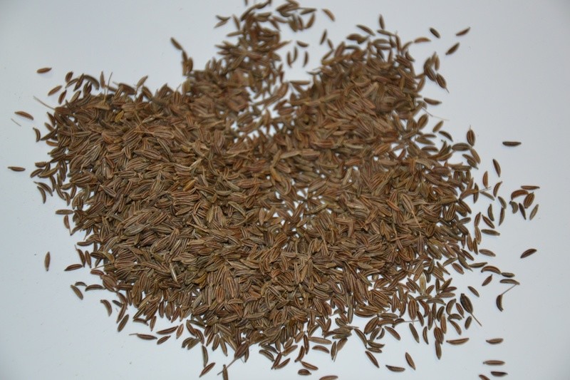 Kümmel ganz