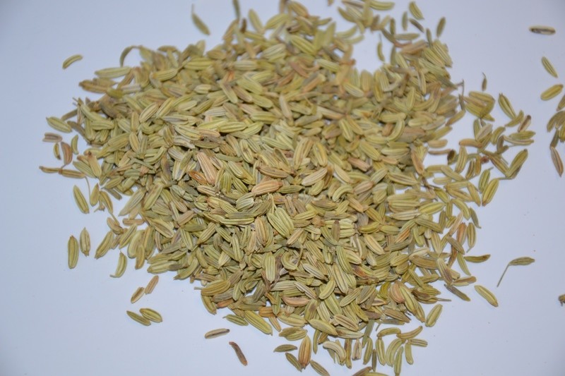 Fenchel süß grün ganz