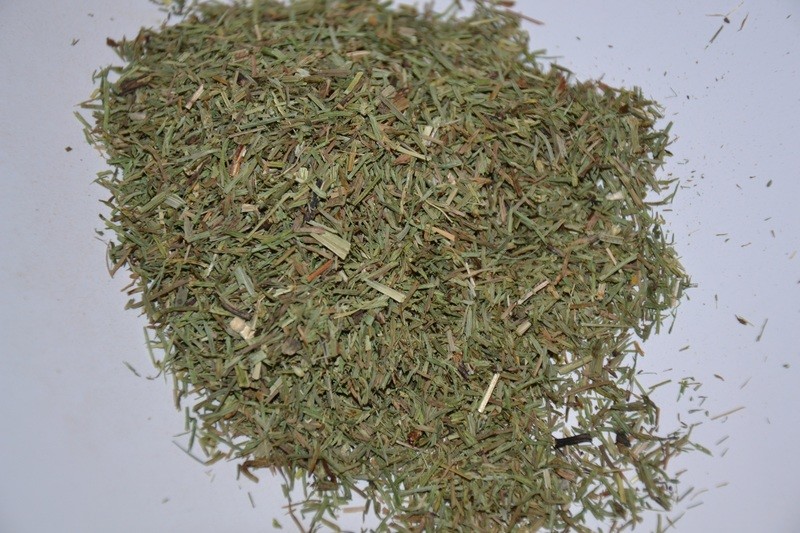 Schachtelhalmkraut - Zinnkraut
