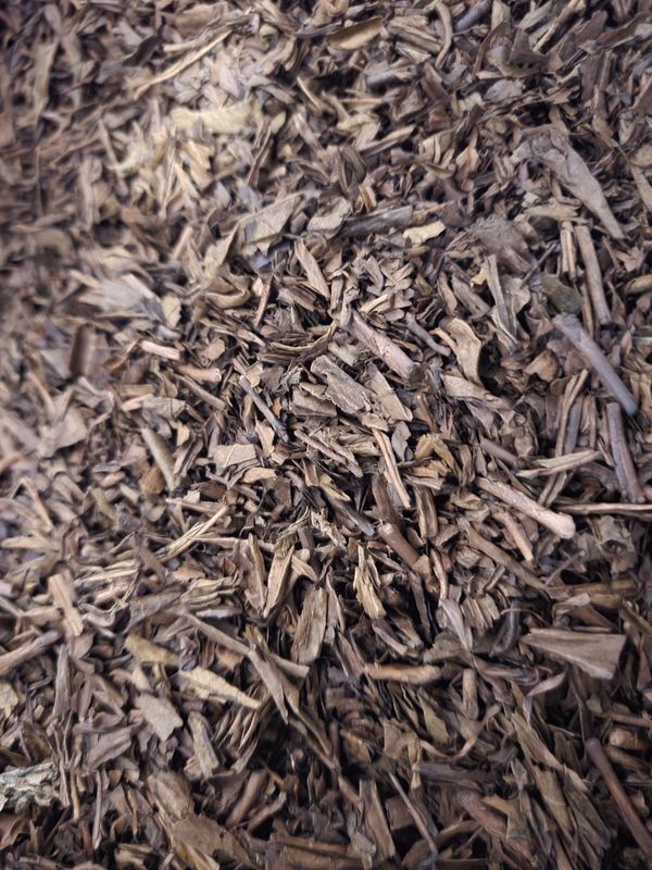 Japan Hojicha Bio