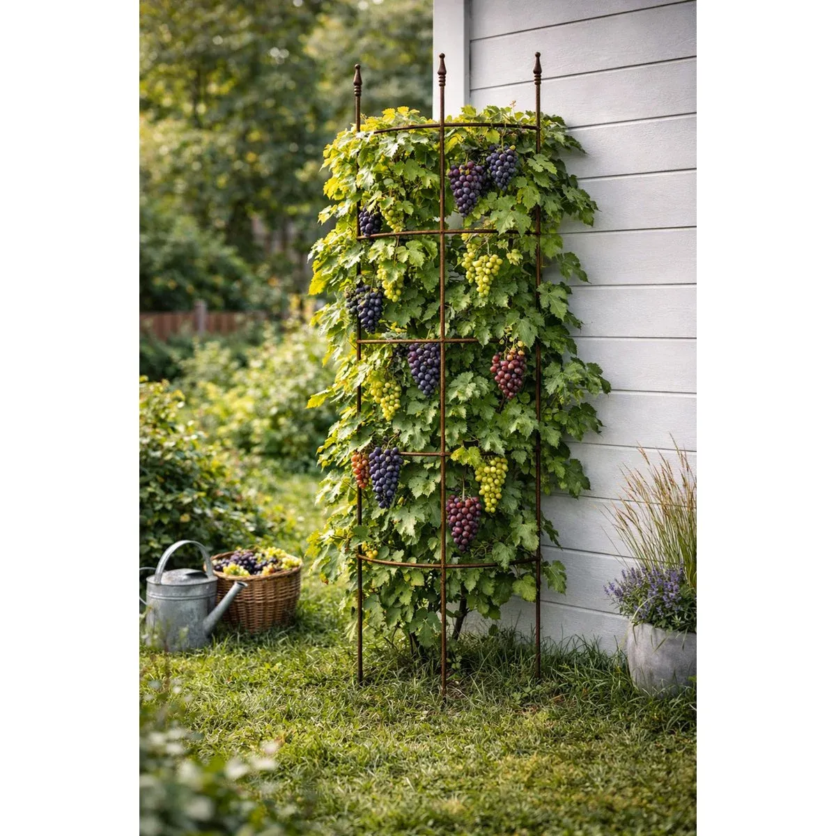 Staudenstütze - Ranggitter Edelrost - KEIN VERSAND