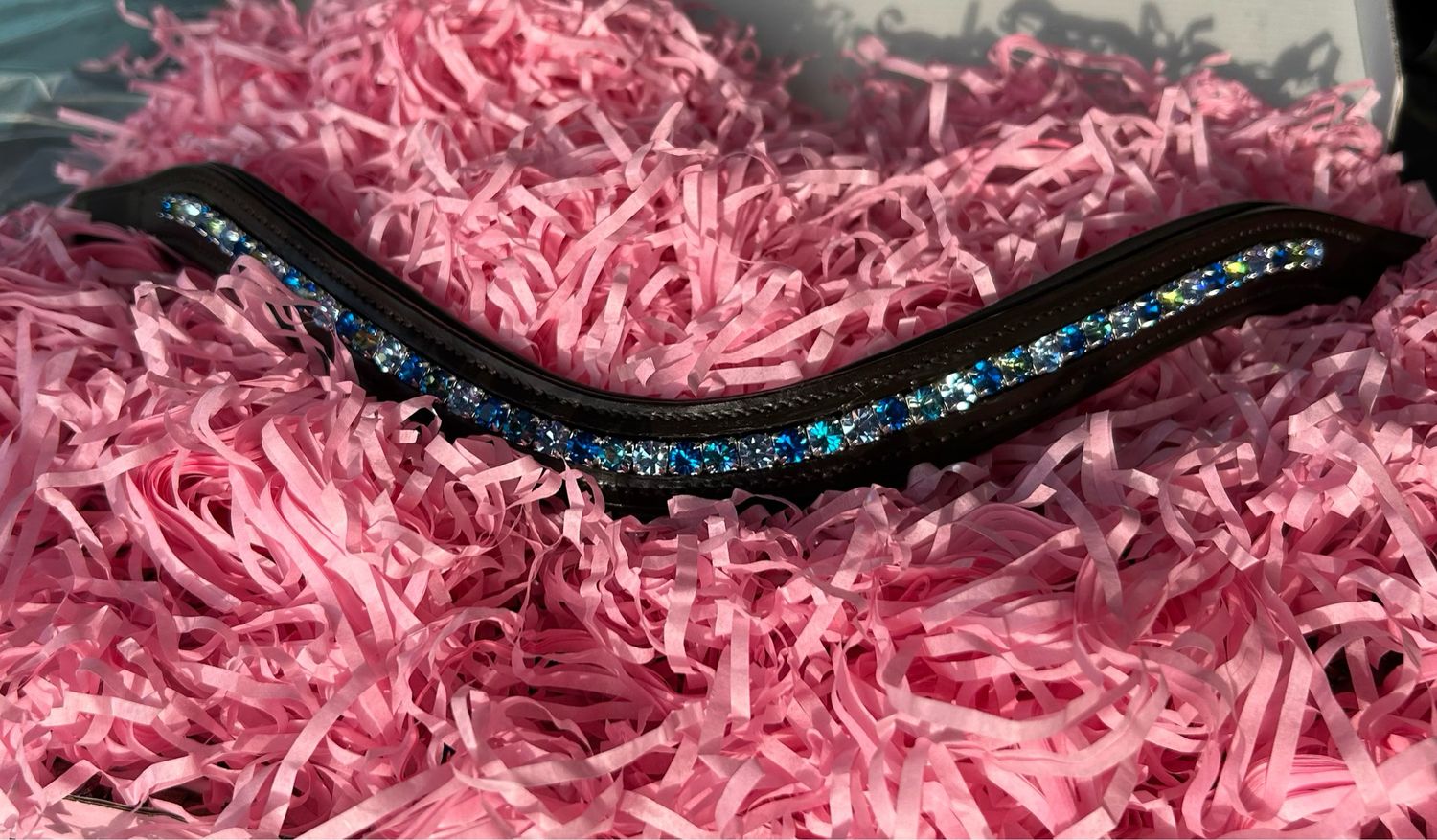 Surprise browband