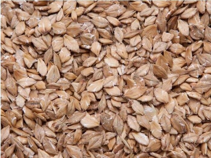 Barley/Oats