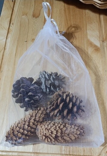 Pine Cones