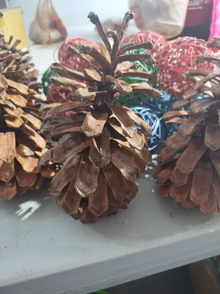 Jumbo Pine Cone