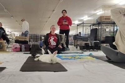 Bunny Yoga May 19, 2024