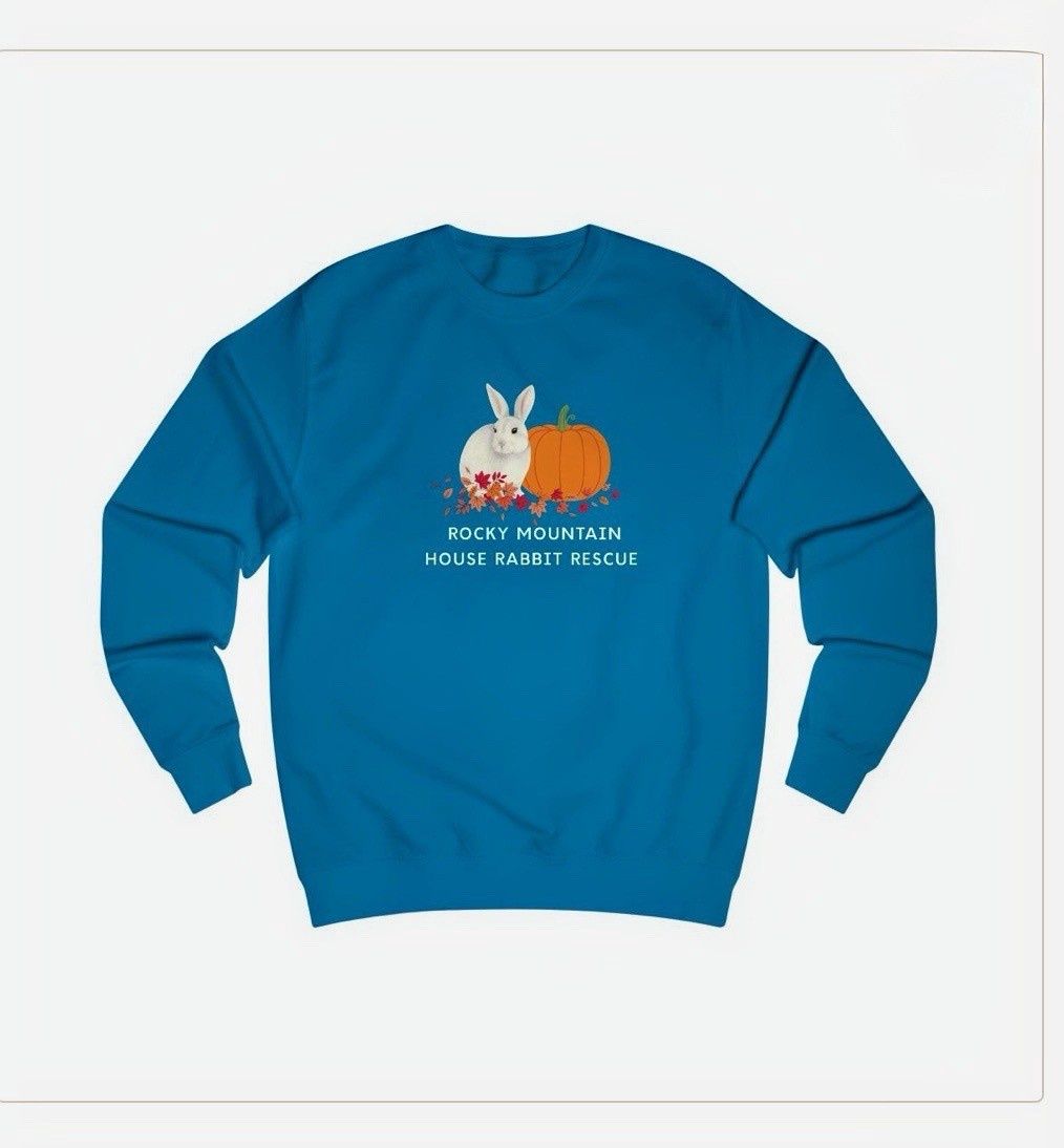 Sapphire Sweatshirt Fall 2025