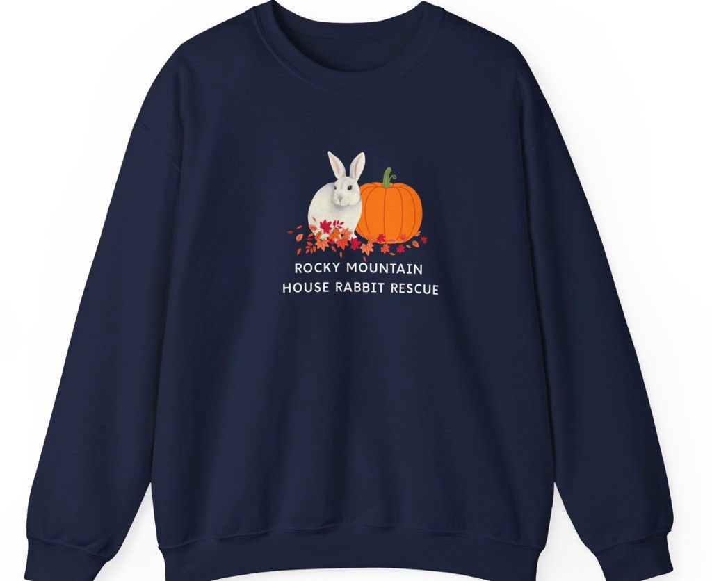 Black Sweatshirt Fall 2025