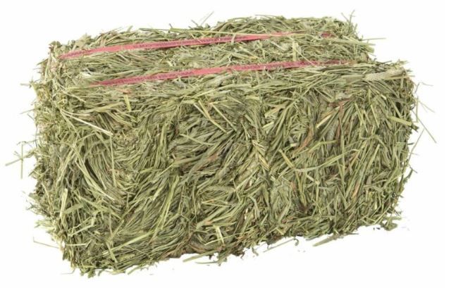 Bulk Hay - Timothy or Alfalfa