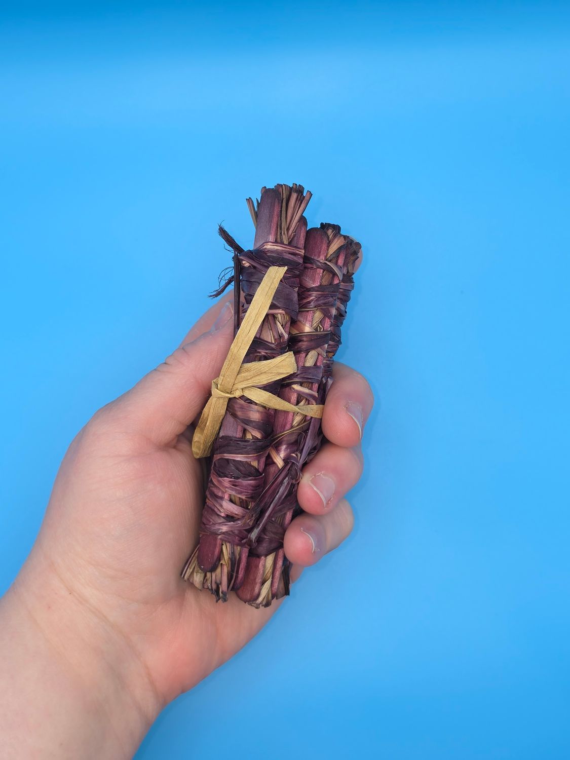 Popsicle Stick Sandwich