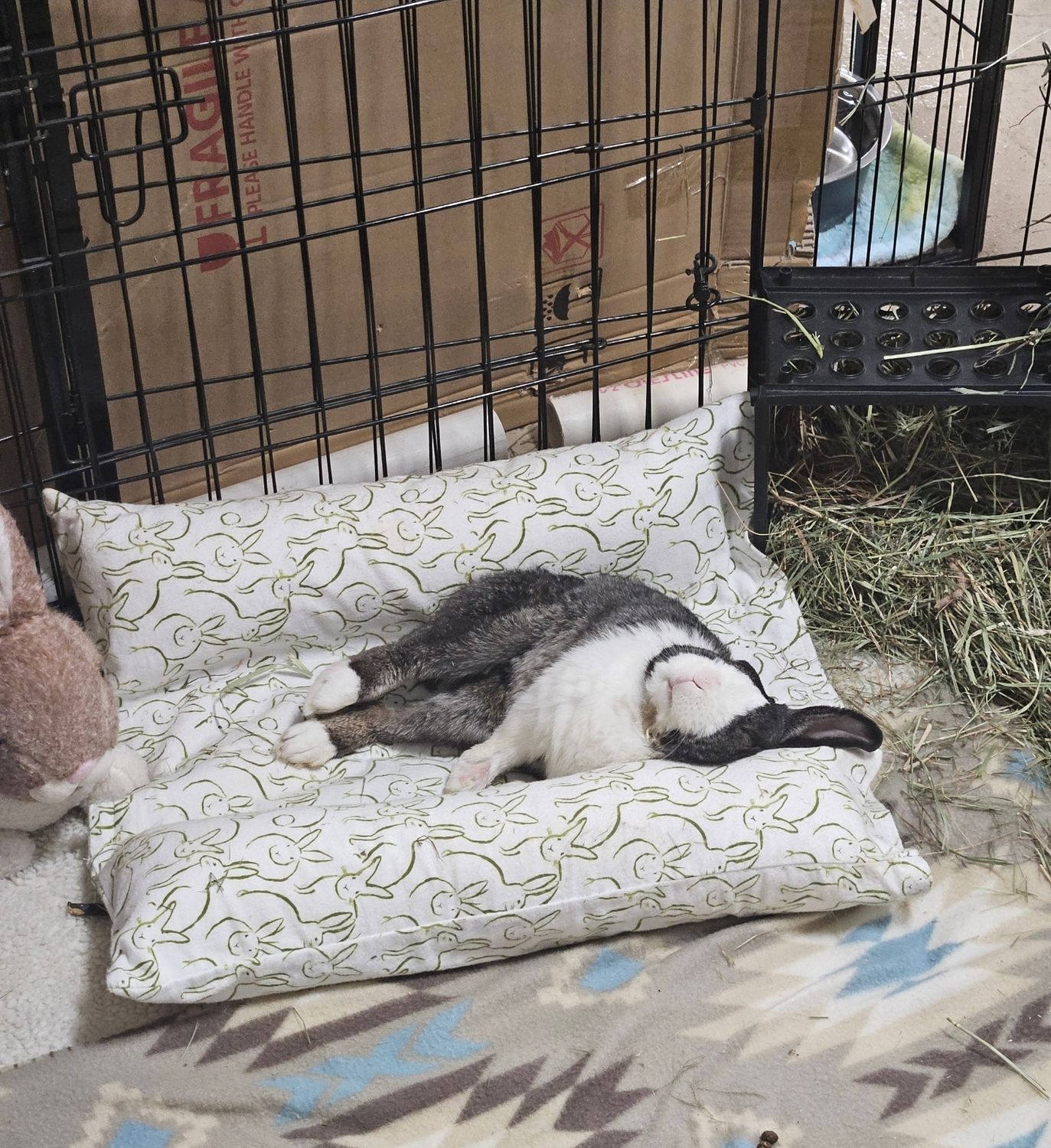 Snuggle Bunny Bed