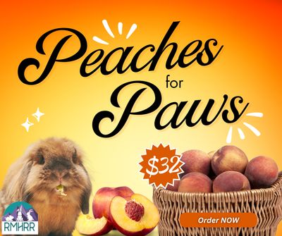 Peaches for Paws 2026