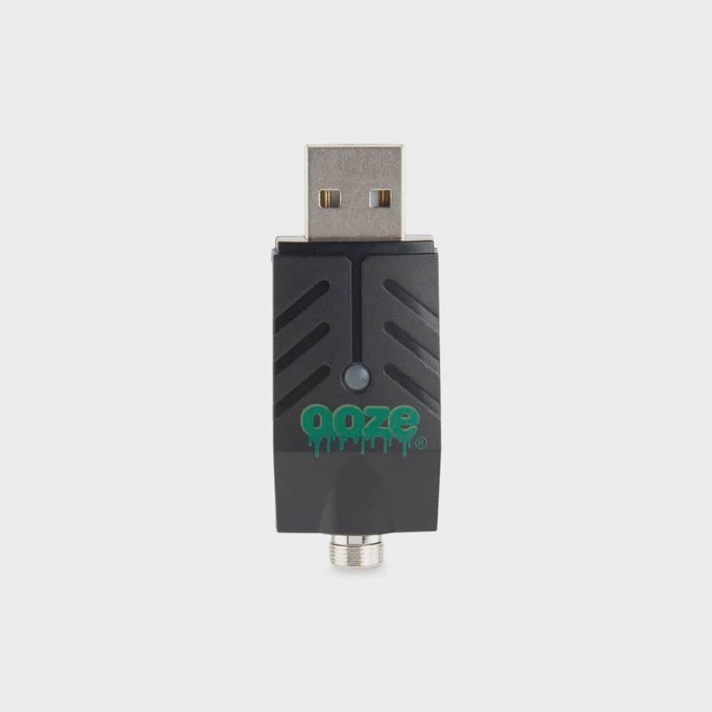 USB Smart Charger