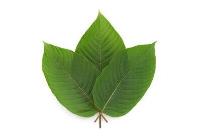 Kratom