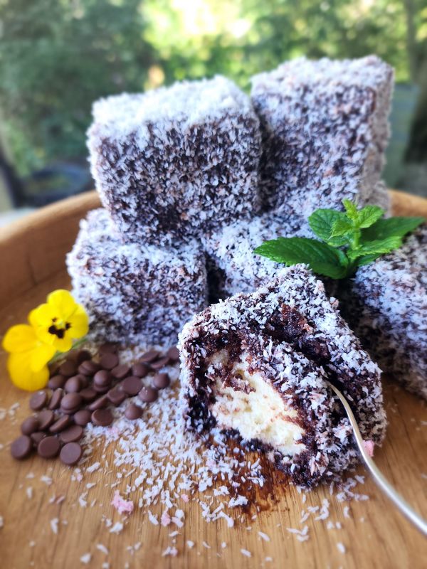 Chocolate Lamingtons (Ystervarkies)