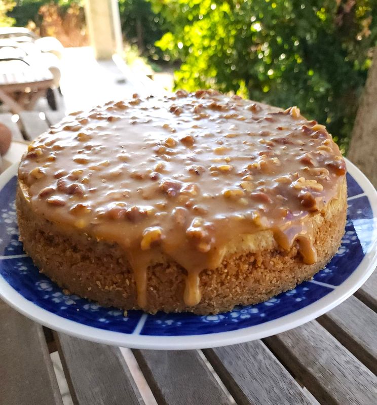 Pecan Praline Cheesecake