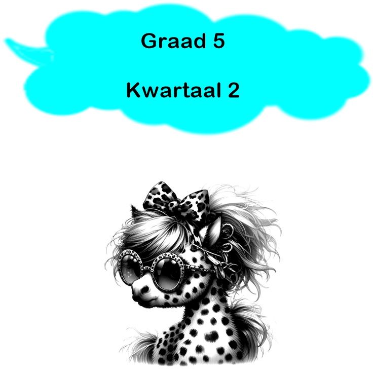 Graad 5 - Kwartaal 2