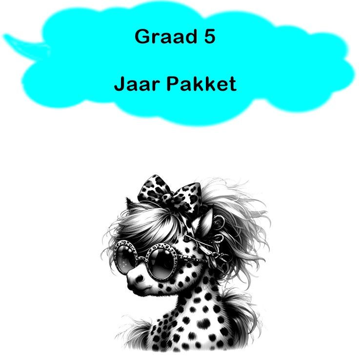 Graad 5 - Jaar pakket