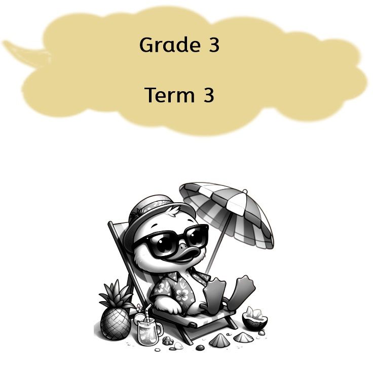 Grade 3 - Term 3