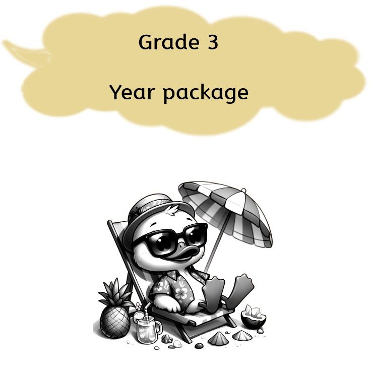Grade 3 - Year package