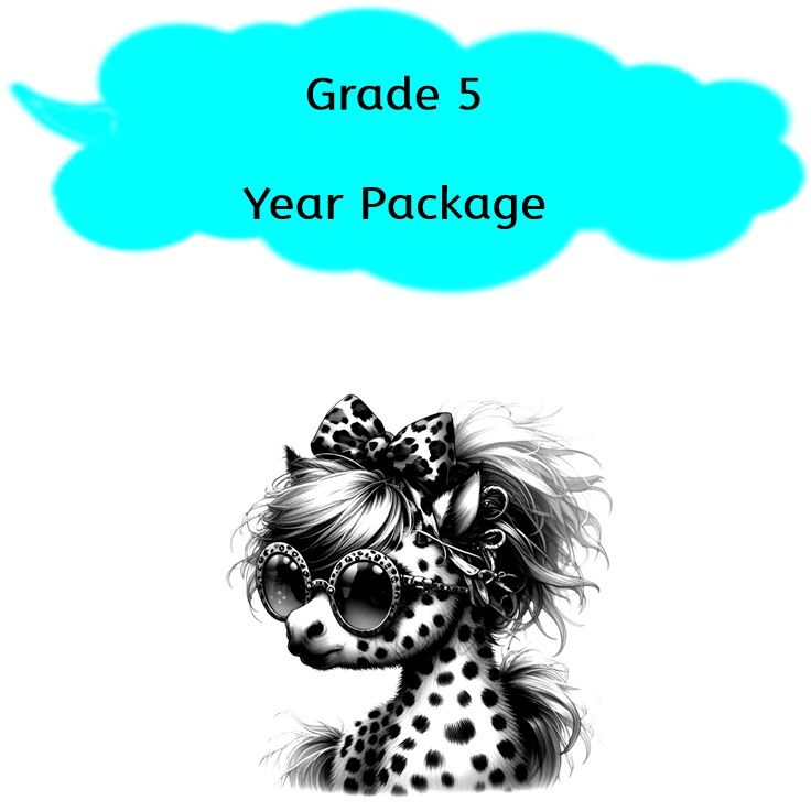 Grade 5 - Year package