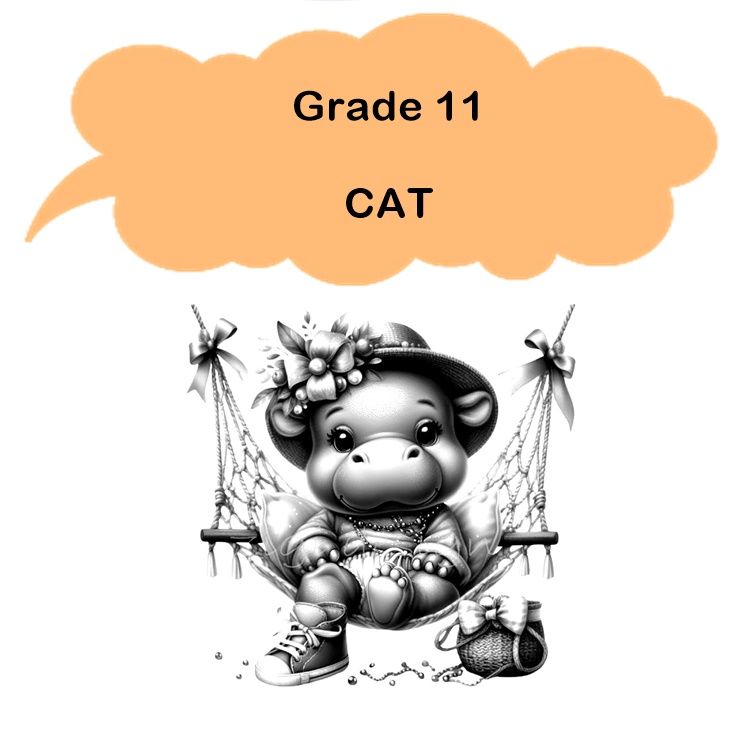 Gr 11 - CAT