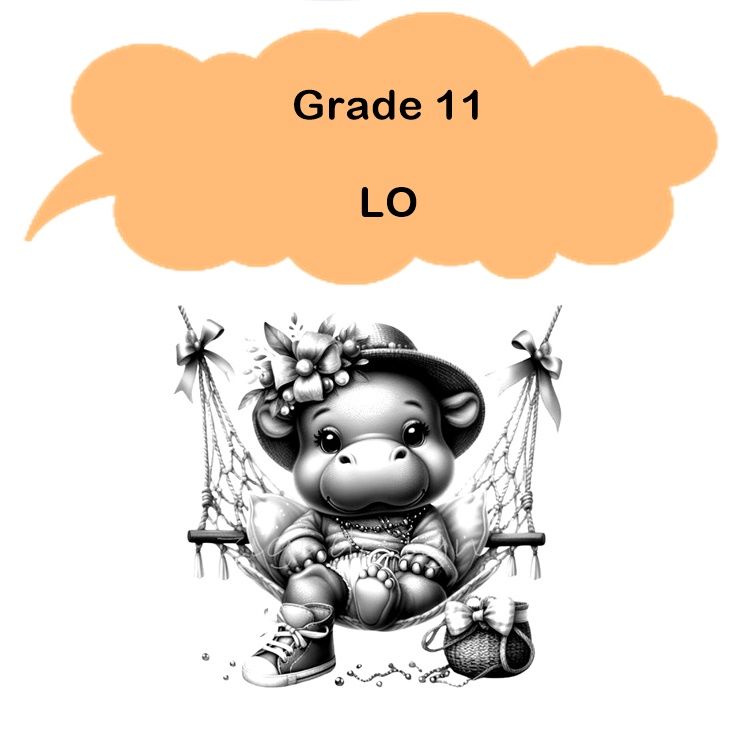 Gr 11 - Life Orientation