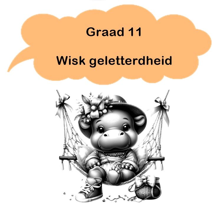 Gr 11 - Wiskunde Geletterdheid