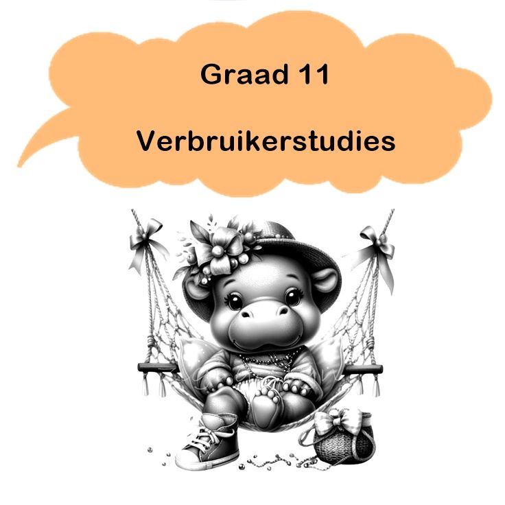 Gr 11 - Verbruikerstudies