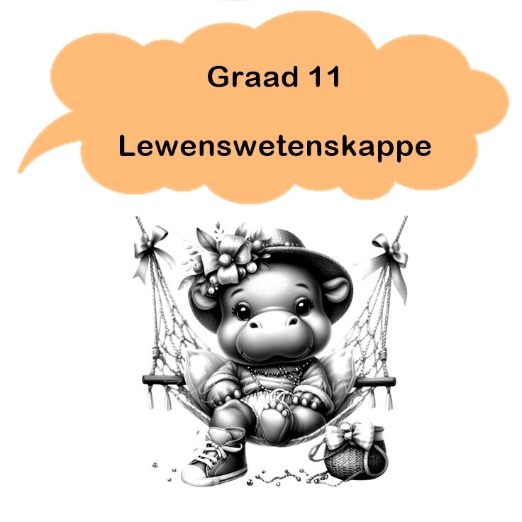 Gr 11 - Lewenswetenskappe