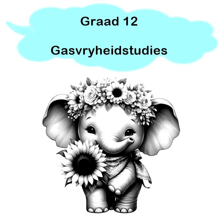 Gr 12 - Gasvryheidstudies