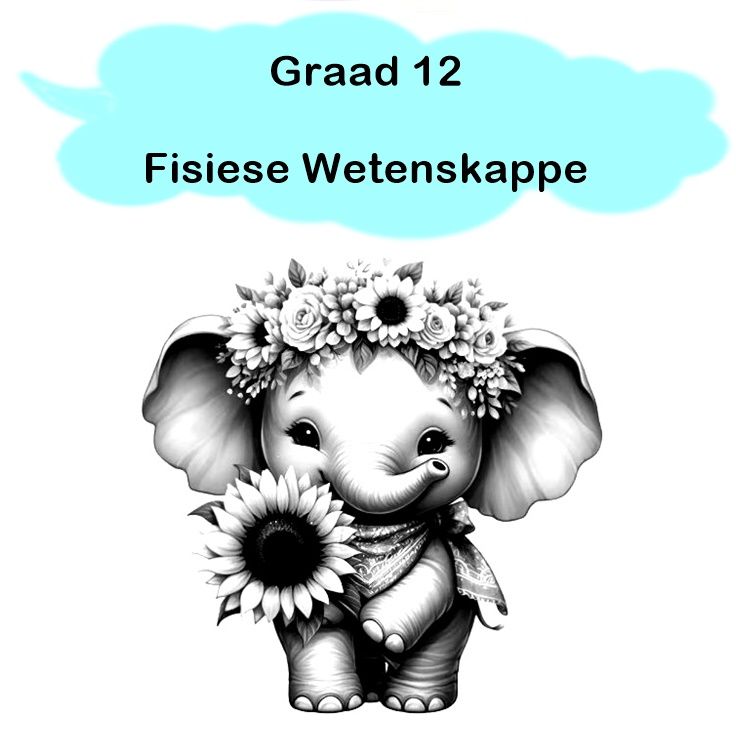 Gr 12 - Fisiese Wetenskappe
