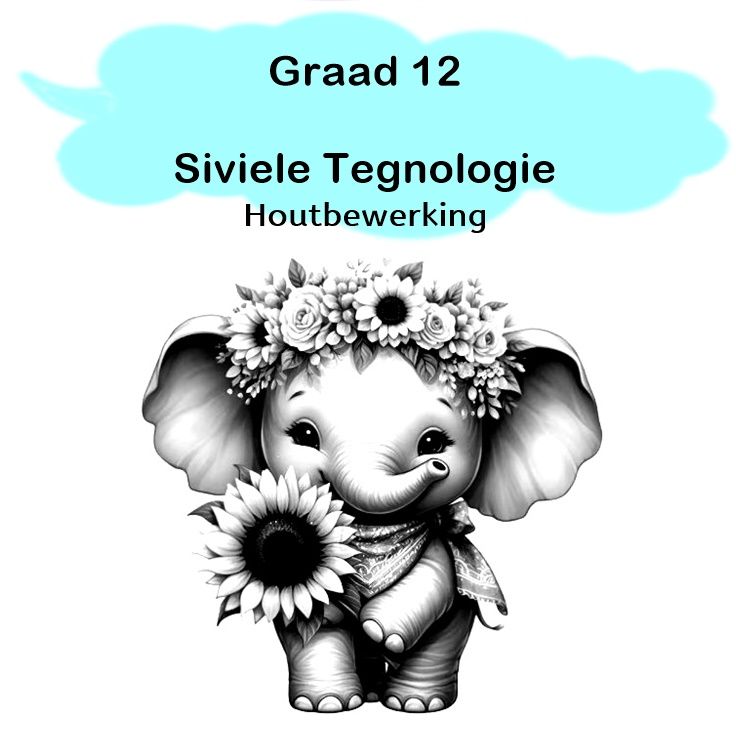 Gr 12 - Siv Teg (Houtbewerking)