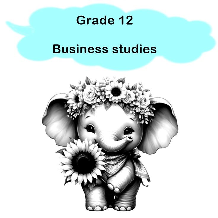 Gr 12 - Business studies