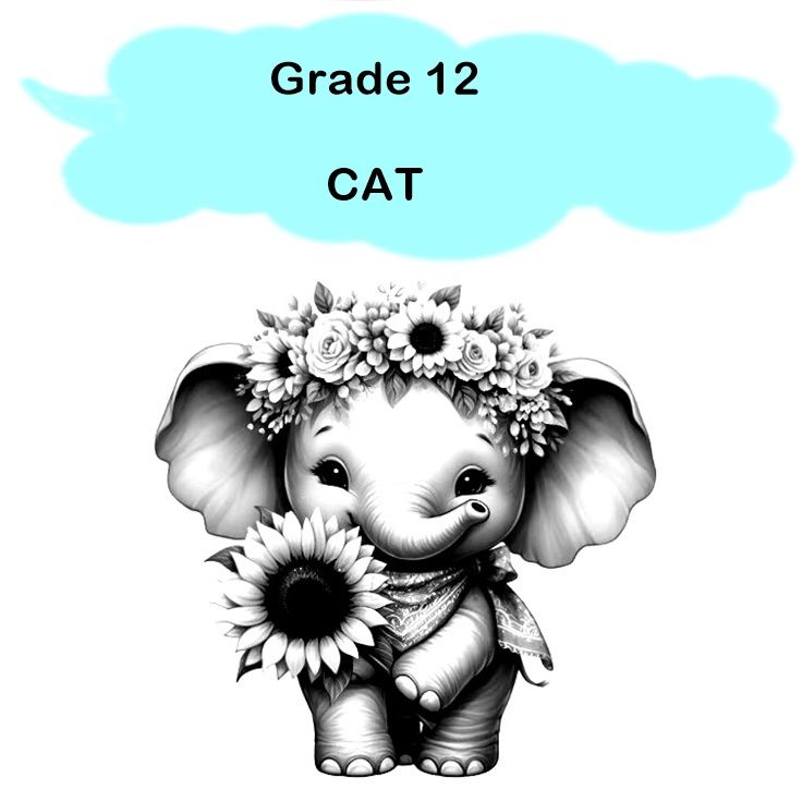 Gr 12 - CAT