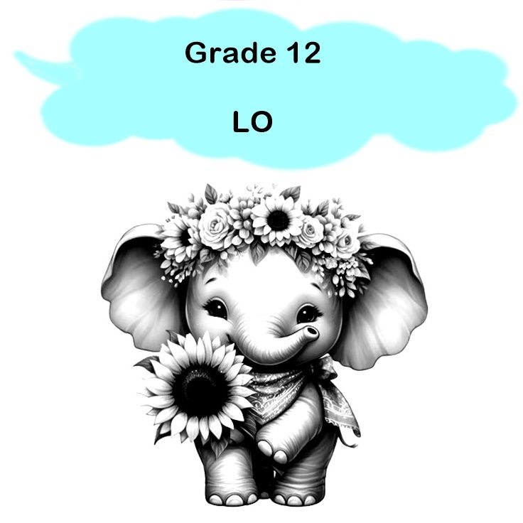 Gr 12 - Life Orientation