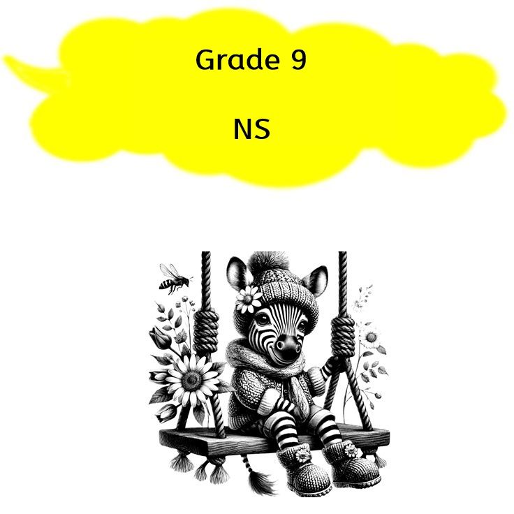 Grade 9 - Natural Sciences