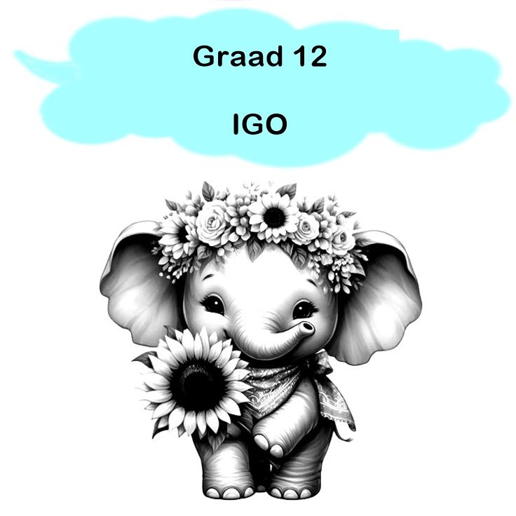 Gr 12 - IGO